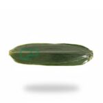 Fresh Bamboo Leaves 100sheets