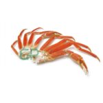 Frozen Oil Fish, Grade AAA